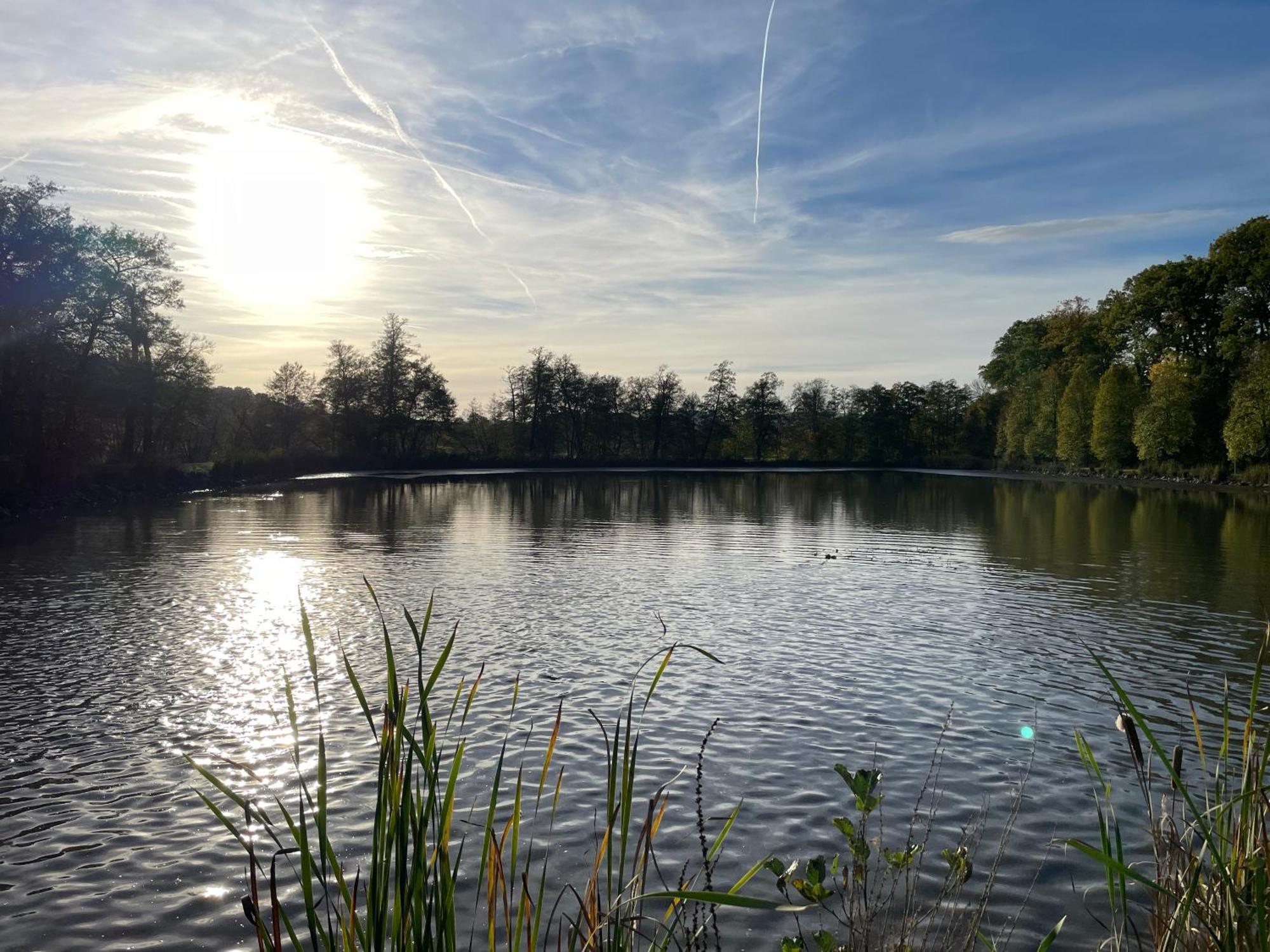Naturnahe Unterkunft In Der Burgenstadt Schlitz Buitenkant foto
