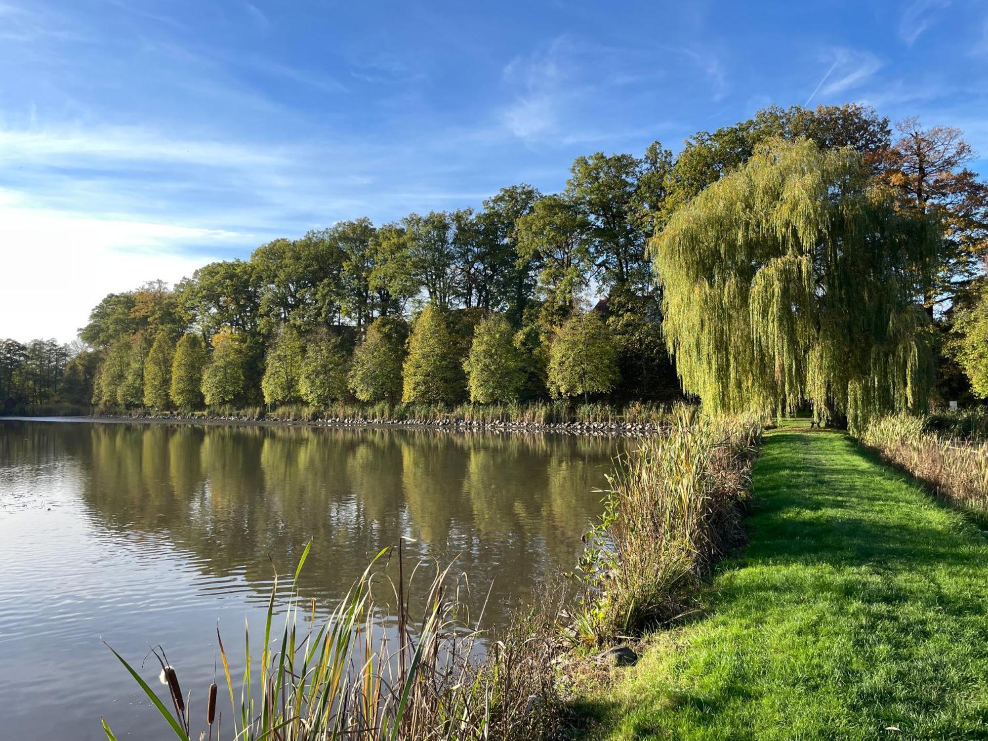 Naturnahe Unterkunft In Der Burgenstadt Schlitz Buitenkant foto